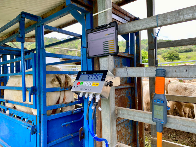 NLIS Tag Reader Australia – Trusted by 10,000+ Farmers | AgriEID